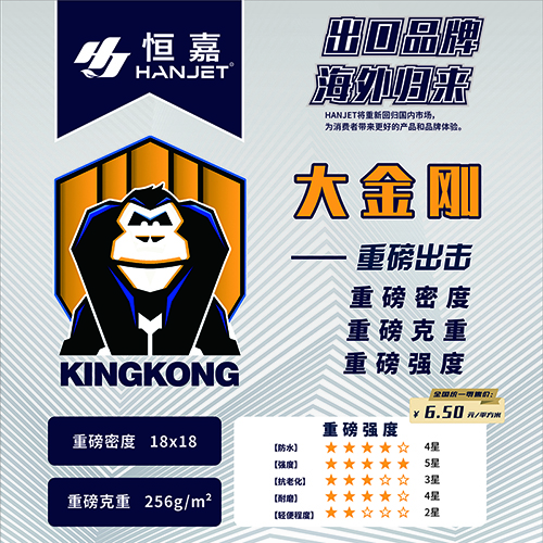 浙江恒嘉新材料有限公司